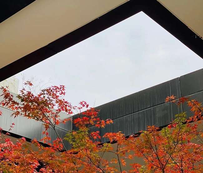 園外園精心匠筑系列二丨中城光谷龍山湖園林示范區(qū)實(shí)景呈現(xiàn)